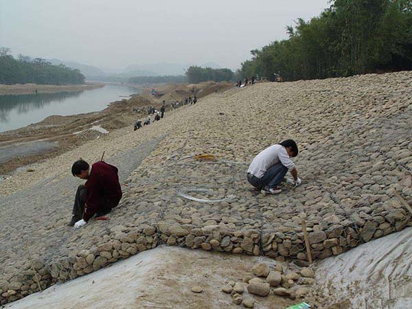 雷诺护垫图片2